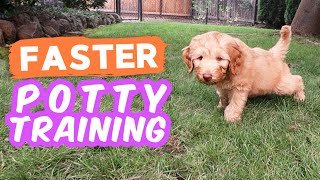 6 Potty Training Secrets NOBODY Shares 🐶 Seriously try these with your puppy [upl. by Trauts]