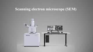 Scanning electron microscope SEM [upl. by Newberry303]