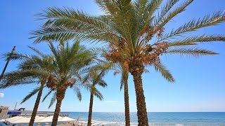 Tour delle spiagge di Marina di Ragusa col drone [upl. by Radbourne100]