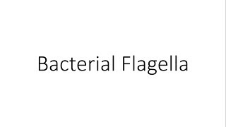 Bacterial Flagella  Microbiology [upl. by Concordia]