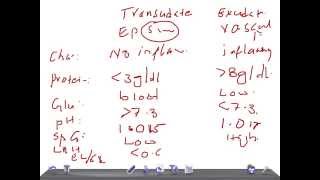 QUICK PATHOLOGY Transudate Vs Exudate pleural effusion [upl. by Ladd390]