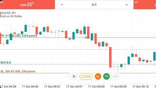 300 USD Sl Hit In Gold Trading [upl. by Sabu939]