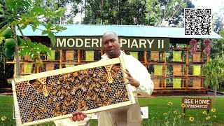 How to be a Modern BeeKeeper from Day 1 till harvest [upl. by Orfurd]