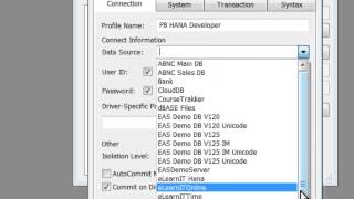 Connecting the PowerBuilder IDE to SAP HANA [upl. by Hacissej]