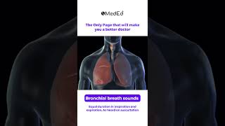 The Bronchial Breath Sound pwmeded [upl. by Kohler]