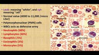 Functions of WBCs basic functions of Leukocytesclassification of WBC [upl. by Berk]