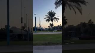 On the way to Hilton resort in Qatar🇶🇦😃youtubeshorts qatar resort foryou type [upl. by Elleinet205]