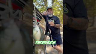 Best Crappie Rod on the market crappiefishing crappie fishing missouri [upl. by Anauq]