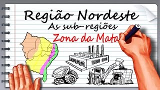 Região Nordeste  Aspectos econômicos parte 1 [upl. by Eerehs166]