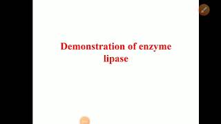 Demonstration of enzyme lipase  Experiment [upl. by Elmore]