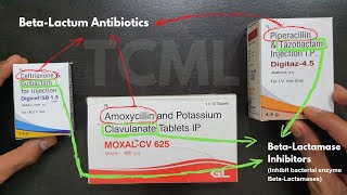 Beta Lactam Antibiotics  TCML Pharmacology  NEET PG INICET FMGE [upl. by Urias]