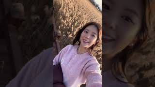 Daisy TikTok 20231231  Daisy 데이지 デイジー daisiesforyu theyuhoos DaisyTikTok [upl. by Didi]