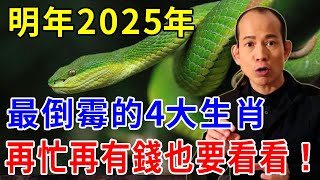 明年2025年最倒霉四大生肖！2025這四個生肖要小心了！再忙再有錢也要看看！【般若之心】生肖 運勢 風水 財運 [upl. by Eniksre]