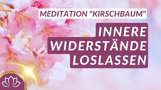 Wohltuende Meditation für mehr Vertrauen in das Leben [upl. by Assir52]