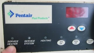 Service Heater Light  Propane Pool Heater  mouse nest [upl. by Onifur234]