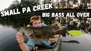 MY BEST Smallmouth Bass SMALL PA Creek [upl. by Adlecirg]