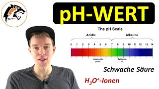 Der pHWert erklärt  NEU [upl. by Ainit]