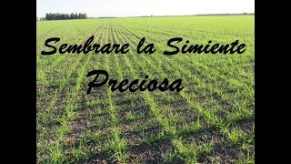 Sembrare La Simiente Preciosa en karaoke Letra y Pista para cantar [upl. by Selokcin92]