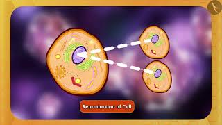 Nucleus and Cytoplasm  Part 11  English  Class 9 [upl. by Earahc]