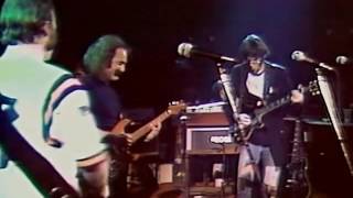 Crosby Stills Nash amp Young Almost Cut My Hair Live 1974 [upl. by Freemon544]