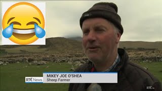 Irish Farmers Lose Their Sheep Extreme Accent [upl. by Socem]