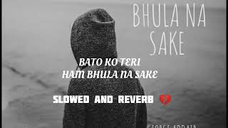 bato ko teri ham bhula na sake 💔 SLOWED AND REVERB totalgaming carryminati song [upl. by Lapides]