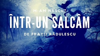 Fratii Radulescu  Mam născut întrun salcâm [upl. by Omrelliug]