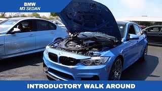 2017 BMW M3 Sedan Walk Around With Matt Pudlo from Knauz BMW [upl. by Anelram988]