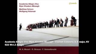 Academia Allegro Vivo Bijan KhademMissagh ft Matthias Schorn Wolfgang Holzmair [upl. by Eeryk829]