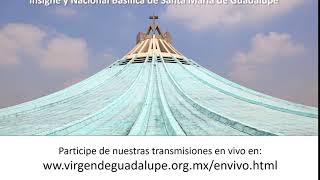 Transmisiones en vivo desde la Basílica de Guadalupe [upl. by Geithner]