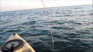 Striper Fishing Montauk Point w Sport Fish Colorado [upl. by Chao590]