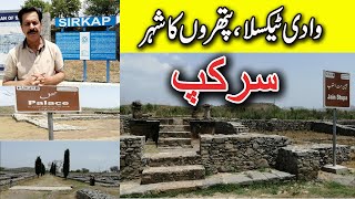 Sirkap I Taxila I City of Stones I Taxila Tales 1I Archeological Treasure of Pakistan I Gilani Logs [upl. by Sallad]