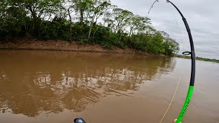 O RIO ENCHEU A ÁGUA SUJOU  é peixe na certa quase acabou com a linha do molinete [upl. by Mcferren]