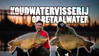 Karpervissen Koudwatervisserij op betaalwater [upl. by Nrobyalc]