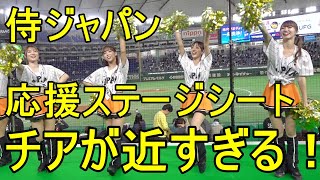 侍ジャパン応援ステージシート チアが近すぎる！「ヴィーナス」が躍動20231117 [upl. by Elisabetta966]