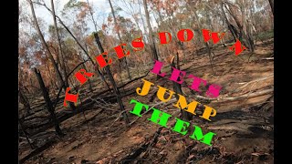 Trees down lets jump them Goat Paddock [upl. by Asaert]