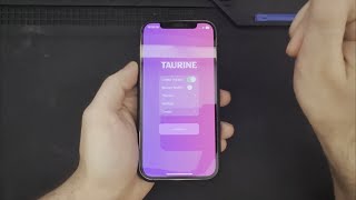 Taurine Jailbreak iPhone 12 Pro iOS 140  1481 [upl. by Oivlis]