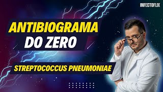 Dominando Antibiogramas do Zero  Streptococcus pneumoniae [upl. by Meece]