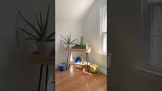 Clintonville Home Tour  3145 Summit St Columbus OH 43202 [upl. by Court]