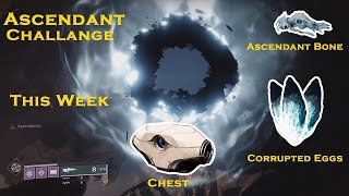 Ascendant Challenge This Week Eggs  Bones [upl. by Anna]