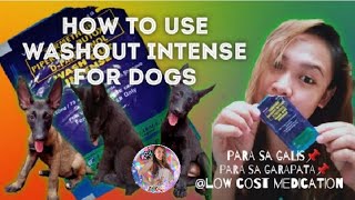 HOW TO USE WASHOUT INTENSE FOR DOGS gaano kaeffective  MiraiValente [upl. by Zerdna]