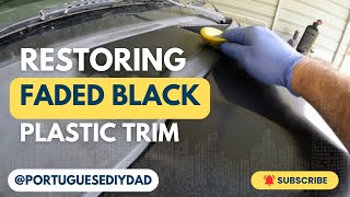 Easy DIY Restore Faded Black Plastic Trim in Minutes [upl. by Blake]