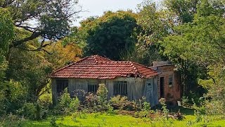 Senti um Cheiro Muito Forte de Enxofre na Casa Onde o Marido Perdeu a Esposa Por Conta de Abelhas [upl. by Newnorb]