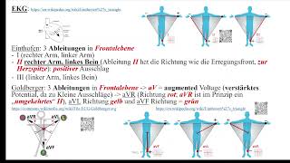 Herz 9 EKG 2  Ableitungen P und PQ [upl. by Holladay]