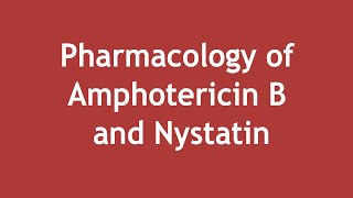 Pharmacology of Amphotericin B and Nystatin ENGLISH  Dr Shikha Parmar [upl. by Nashom]