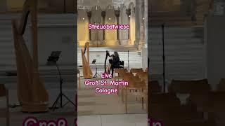 Streuobstwiese live Groß St Martin Cologne music cologne musician harpist church [upl. by Uni101]