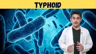 Typhoid fever 3d animation  causes symptoms transmission  typhoid Mary  salmonella bacteria hindi [upl. by Erret]