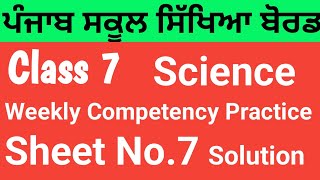 Class 7  Science Weekly Competency Practice sheetsSheet No7PSEBSunnyedu7 [upl. by Oniratac24]