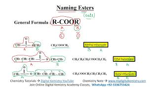 Esters Chemistry  How to Name Esters in Organic Chemistry  Chemistry Class 10 Organic Chemistry [upl. by Godric857]