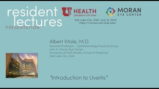 Introduction to Uveitis [upl. by Shaia]